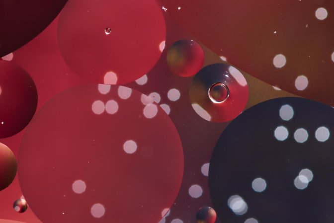 Salon du Livrion Image-texte 2
