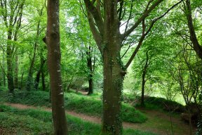 Têtes de bois #07